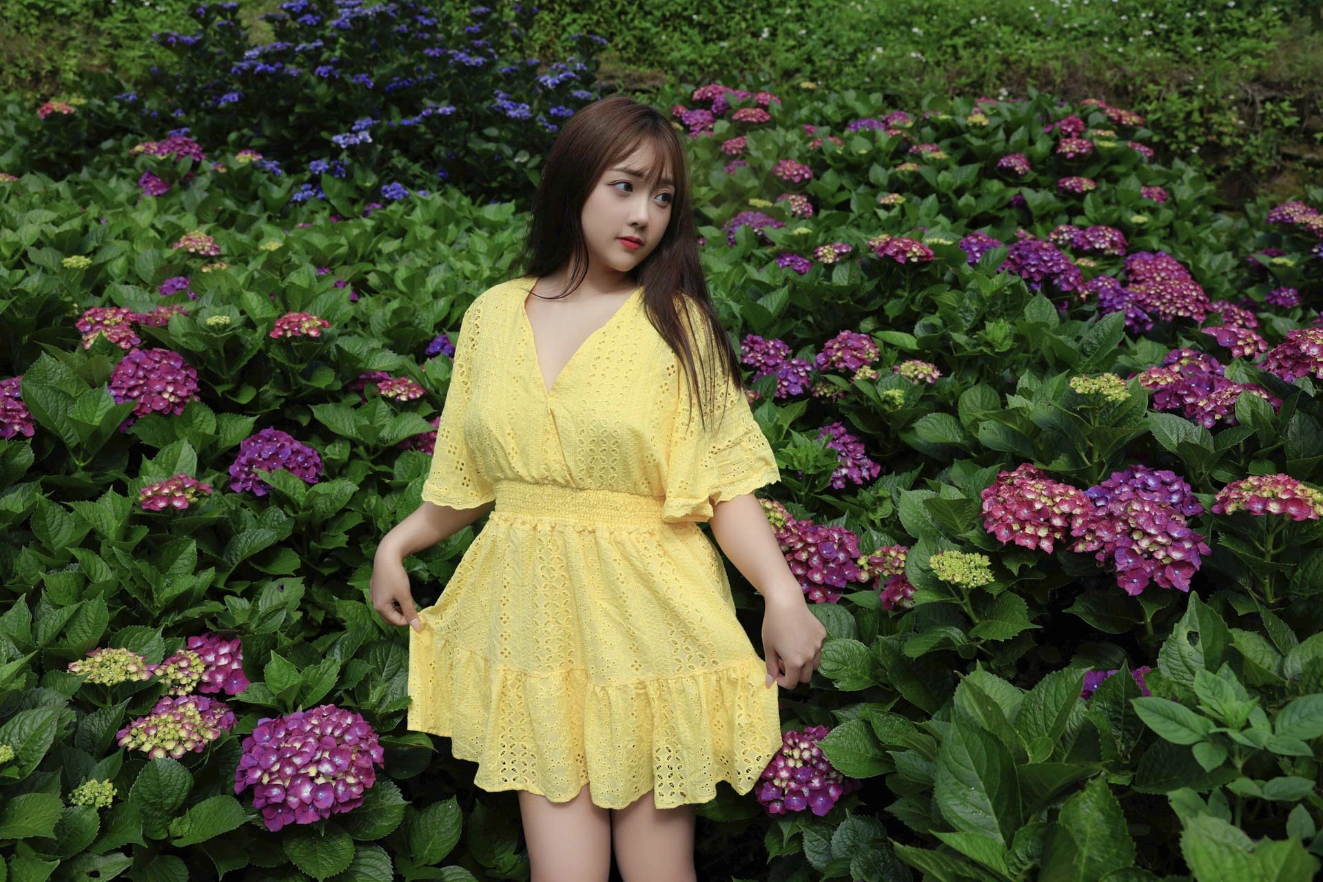 绣球花间黄色连衣裙户外写真