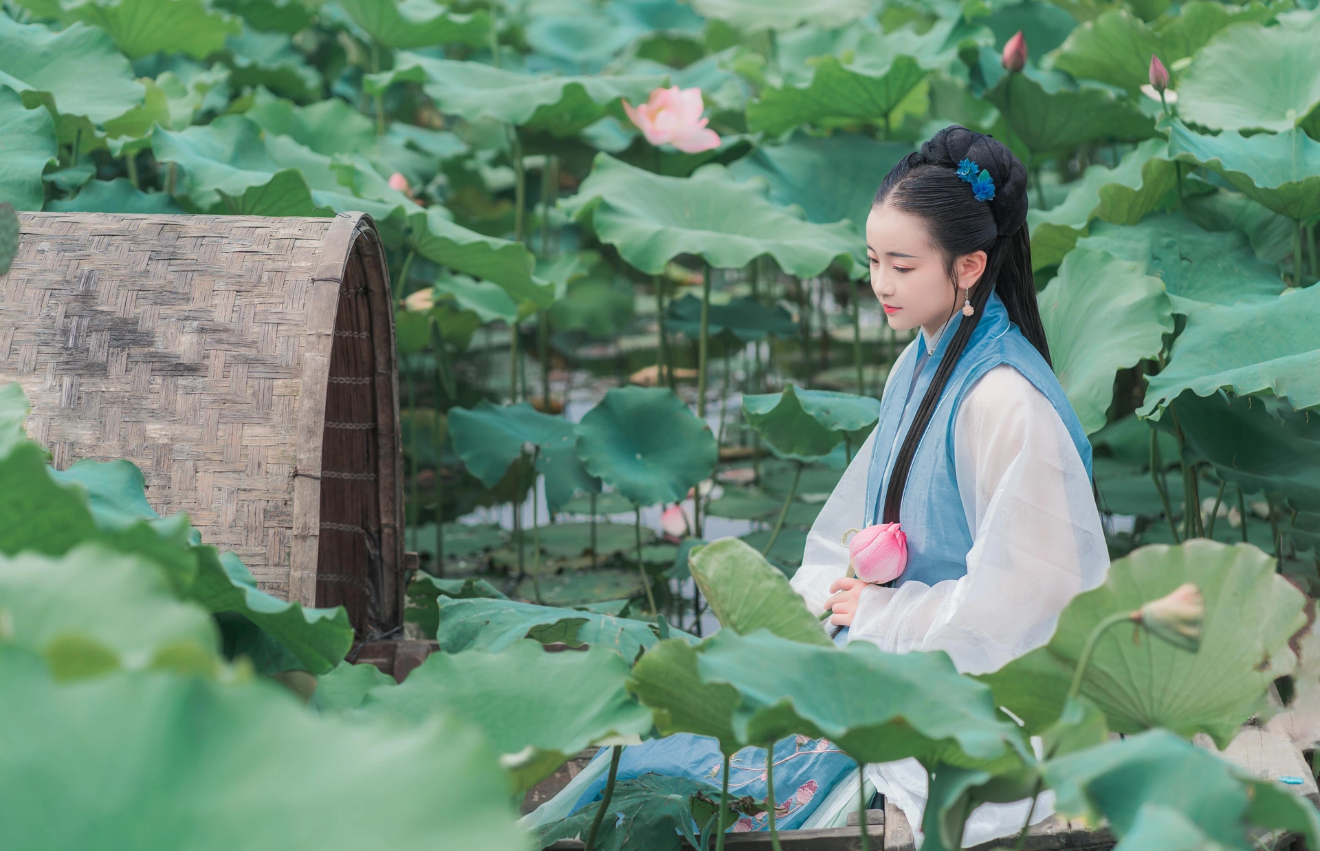 莲花渡蓝白汉服荷塘外景