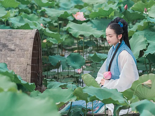 汉服写真成都约拍《莲花渡》:荷塘边的清爽古风