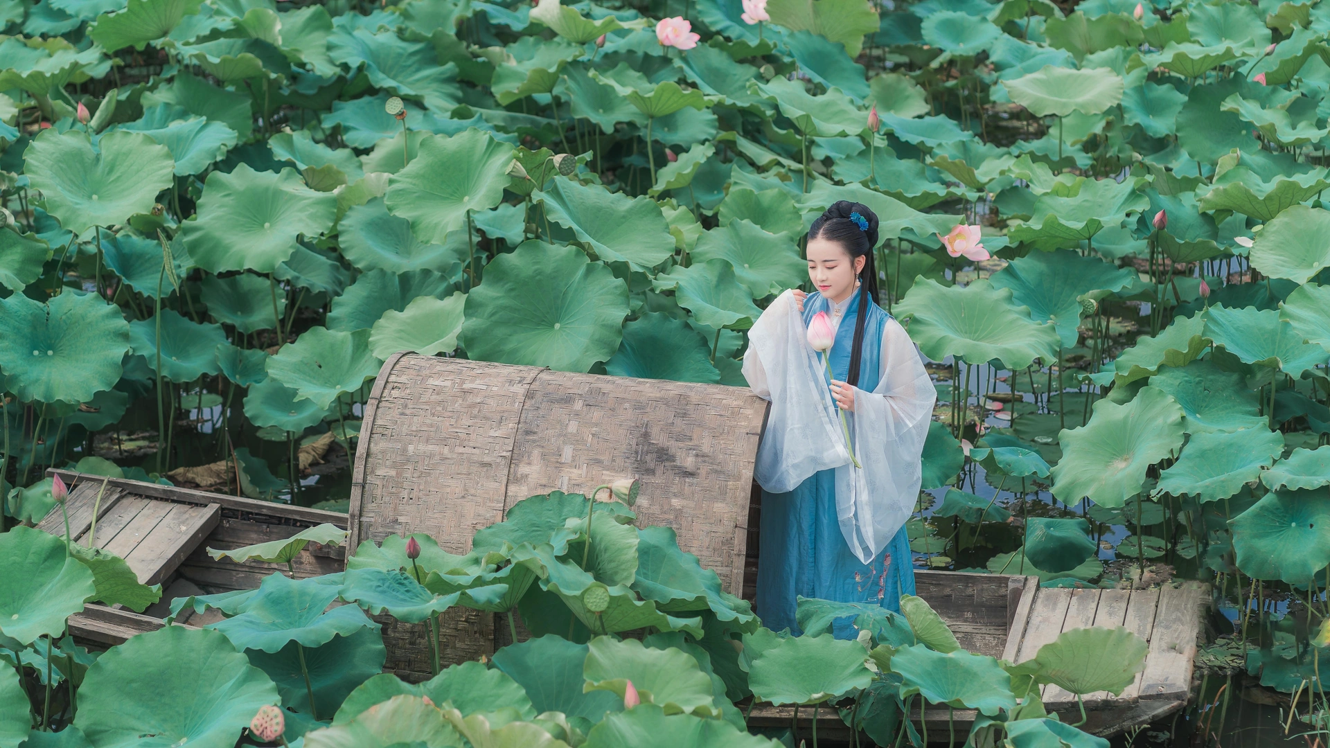汉服写真莲花渡木船场景