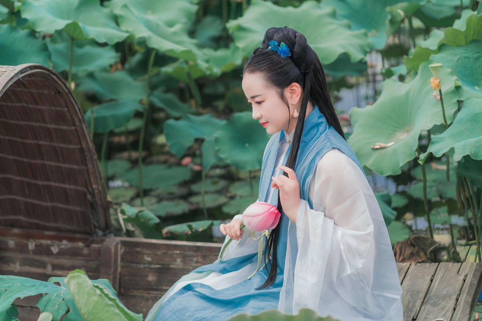莲花渡荷叶间汉服人像