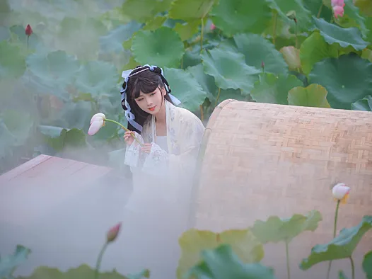 荷塘汉服写真：白衣、荷叶和一池夏天，画面看着很舒服
