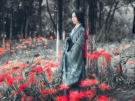 彼岸花汉服古风写真：灰蓝衣衫落进一片红色花海
